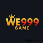 WE999 Game