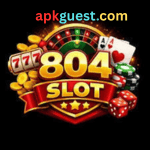 804Slot Game