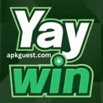 Yay Win Game