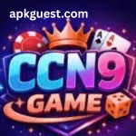 CCN9 Game
