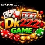 DK 222 Game